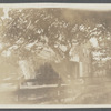 Harry Collum's house (1923). North side road to the Springs. East Hampton, East Hampton
