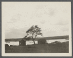 View of Three Mile Harbor. East Hampton, East Hampton