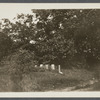 Bennett family burial place. South side of Bennett house. East side Three Mile Harbor Road. East Hampton, East Hampton