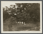 Bennett family burial place. South side of Bennett house. East side Three Mile Harbor Road. East Hampton, East Hampton