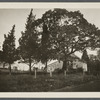 J. Miller's house. West side of Mail Route Road from Amagansett to the Springs. East Hampton, East Hampton