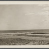 View. East Hampton Beach. Sand Dunes. Surf at the beach. East Hampton, East Hampton