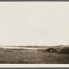 View. East Hampton Beach. Sand Dunes. Surf at the beach. East Hampton, East Hampton