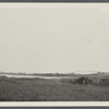 View. East Hampton Beach. Sand Dunes. Surf at the beach. East Hampton, East Hampton