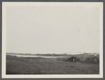 View. East Hampton Beach. Sand Dunes. Surf at the beach. East Hampton, East Hampton