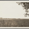 View. Hook Pond. Photo taken from sand dunes. East Hampton, East Hampton