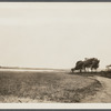View. Hook Pond. Photo taken from sand dunes. East Hampton, East Hampton