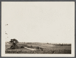 View. East Hampton Golf Links taken from Hook Pond. East Hampton, East Hampton