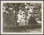 Tillinghast house (1923). West side of road to Bridgehampton (Wood's Lane) at junction with Georgica Road, southwest corner. East Hampton, East Hampton