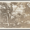 Cpt. John Dayton's house (1776). Bullet embedded in door shot from Bay. South side Bridgehampton Road, north end of Georgica Pond. East Hampton, East Hampton