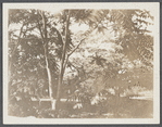 Cpt. John Dayton's house (1776). Bullet embedded in door shot from Bay. South side Bridgehampton Road, north end of Georgica Pond. East Hampton, East Hampton