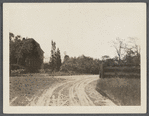 House and Windmill. South of Wainscott Street, east of East Hampton Road leading north. Wainscott, East Hampton 