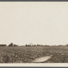 Rear view of old house. Photo taken from road to Bay Harbor. Wainscott, East Hampton 
