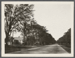 View of Main Street. (Left is a Mulford House). Amagansett, East Hampton