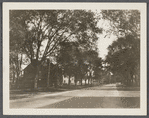 View. North side Main Street, west end. Amagansett, East Hampton