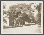 View. Main Street, west end. Amagansett, East Hampton
