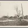View. South side Montauk Road. Amagansett, East Hampton