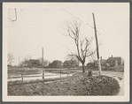 View. South side Montauk Road. Amagansett, East Hampton
