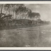 View. Looking east on road to shore. Amagansett, East Hampton