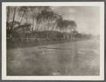 View. Looking east on road to shore. Amagansett, East Hampton