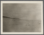 View. Amagansett Beach. Amagansett, East Hampton