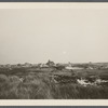 View. Amagansett Shore. West of eastern road to the beach. Amagansett, East Hampton