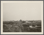 View. Amagansett Shore. West of eastern road to the beach. Amagansett, East Hampton