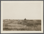 View. Beach at Amagansett. Amagansett, East Hampton