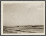 View. Beach/surf opposite Devon. Napeague, East Hampton