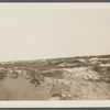 View. Sand Dunes opposite Devon. Napeague, East Hampton