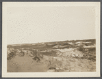 View. Sand Dunes opposite Devon. Napeague, East Hampton