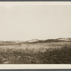 View. Sand Dunes opposite Devon. Napeague, East Hampton