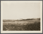 View. Sand Dunes opposite Devon. Napeague, East Hampton