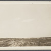 View. Sand Dunes opposite Devon. Napeague, East Hampton