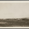 View. Sand Dunes opposite Devon. Napeague, East Hampton
