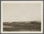 View. Sand Dunes opposite Devon. Napeague, East Hampton