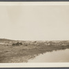 View. Sand Dunes opposite Devon. Napeague, East Hampton