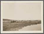 View. Sand Dunes opposite Devon. Napeague, East Hampton