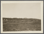 View of Devon from sand dunes. Napeague, East Hampton