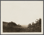 View. Fort Pond Bay from hiII. Montauk, East Hampton