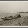 Fort Pond Bay, wreck of ship Sloop A. Godfrey. Wrecked October 11/12, 1925. Montauk, East Hampton