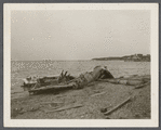 Fort Pond Bay, wreck of ship Sloop A. Godfrey. Wrecked October 11/12, 1925. Montauk, East Hampton