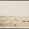 View. Western side of Fort Pond Bay. Sound side. Montauk, East Hampton