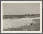 View of Fort Pond Bay. Montauk, East Hampton