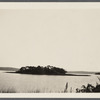 View of Island in Fort Pond, looking south. Montauk sound side. Montauk, East Hampton