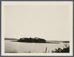 View of Island in Fort Pond, looking south. Montauk sound side. Montauk, East Hampton