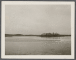 View of Island in Fort Pond, looking northeast. Montauk sound side. Montauk, East Hampton