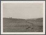 View of Fort Pond. Montauk, East Hampton