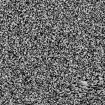 Unidentified performance in large venue