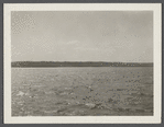 View. Fort Pond Bay. Montauk, East Hampton